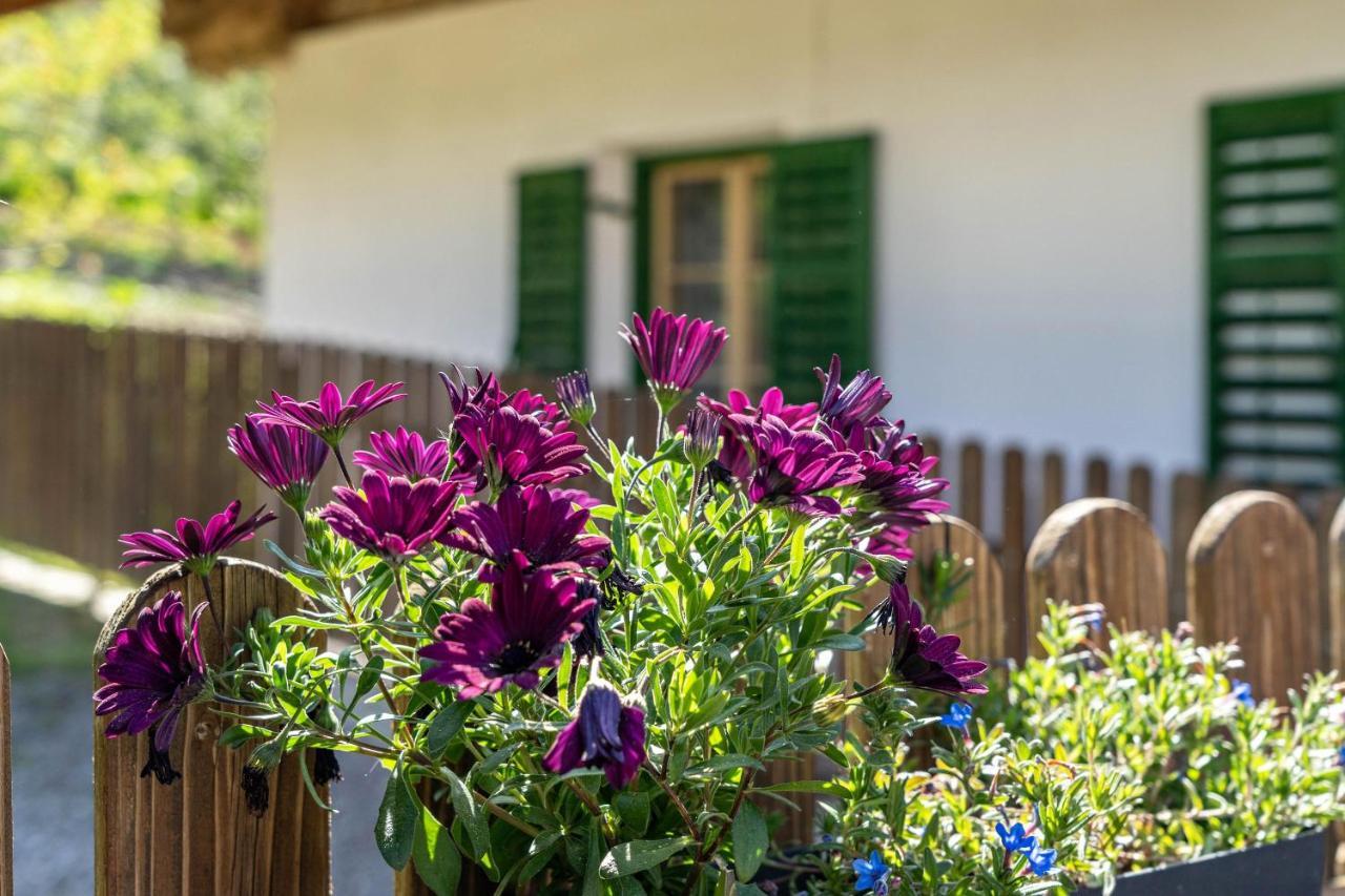 Ferienwohnung Brunjaunhof Скена Экстерьер фото